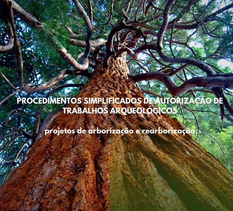 Procedimentos simplificados de autorização de trabalhos arqueológicos | projetos de arborização e rearborização